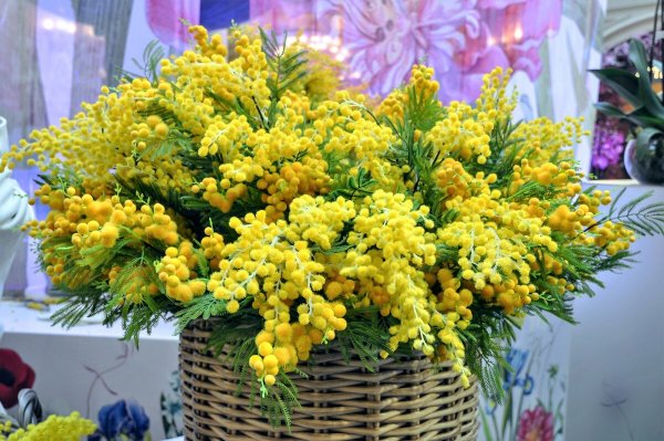 Народное голосование. ТОП-20 фотографий за 07.03.2021 г.