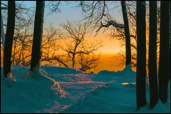 Народное голосование. ТОП-20 фотографий за 16.03.2021 г.
