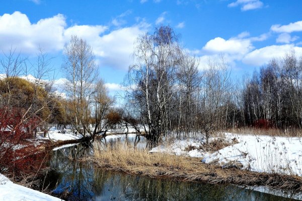 Народное голосование. ТОП-20 фотографий за 21.03.2021&nbsp;г.