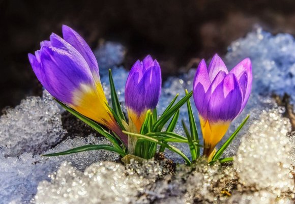 Народное голосование. ТОП-20 фотографий за 06.04.2021&nbsp;г.