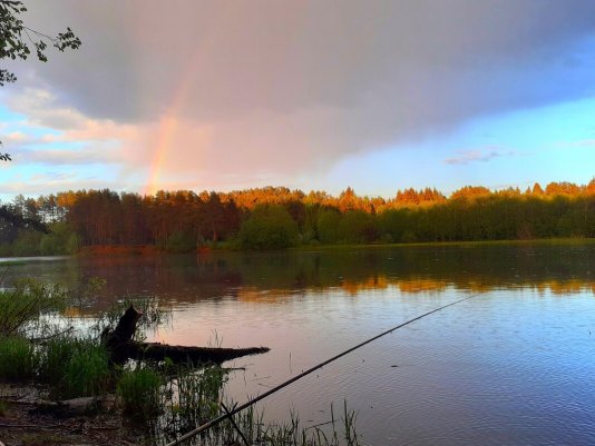 Народное голосование. ТОП-20 фотографий за 26.05.2021&nbsp;г.