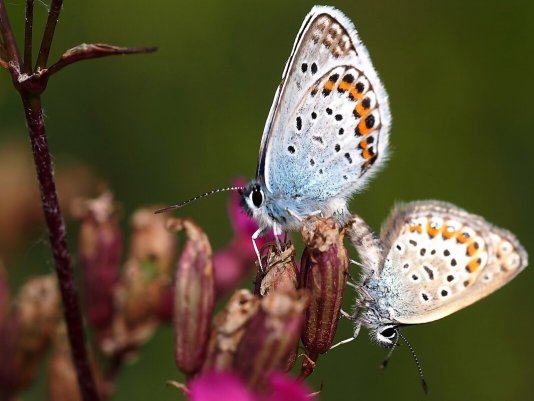 Народное голосование. ТОП-20 фотографий за 08.06.2021 г.