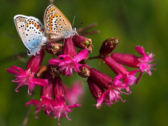 Народное голосование. ТОП-20 фотографий за 15.06.2021&nbsp;г.