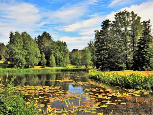 Народное голосование. ТОП-20 фотографий за 17.06.2021&nbsp;г.