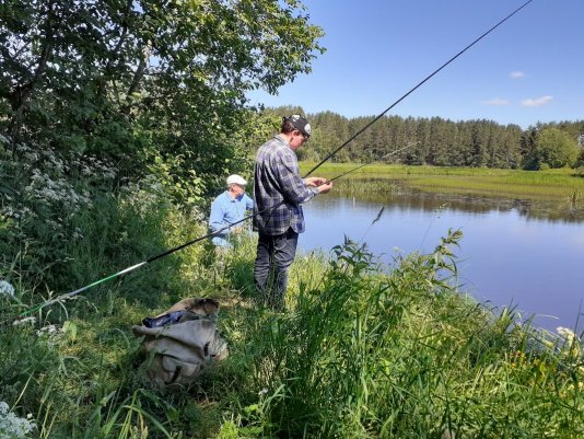 Народное голосование. ТОП-20 фотографий за 28.06.2021 г.