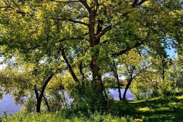 Народное голосование. ТОП-20 фотографий за 29.06.2021&nbsp;г.