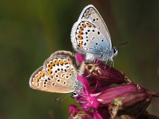 Народное голосование. ТОП-20 фотографий за 04.08.2021&nbsp;г.