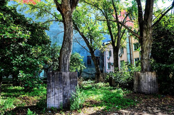 Народное голосование. ТОП-20 фотографий за 24.08.2021&nbsp;г.