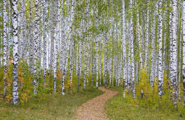 Народное голосование. ТОП-20 фотографий за 24.09.2021&nbsp;г.