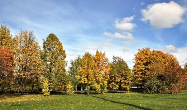 Народное голосование. ТОП-20 фотографий за 03.10.2021&nbsp;г.