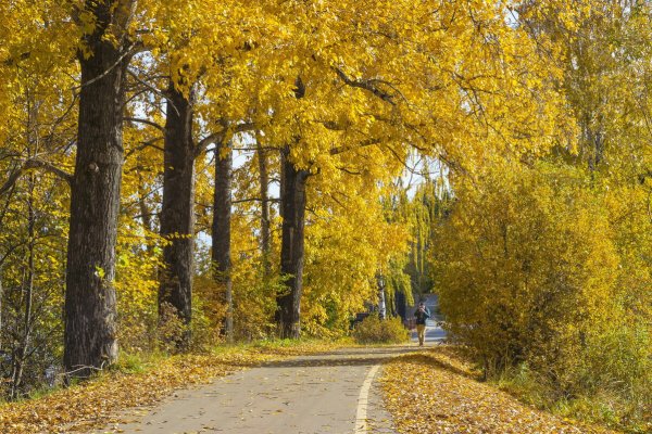 Народное голосование. ТОП-20 фотографий за 04.10.2021&nbsp;г.