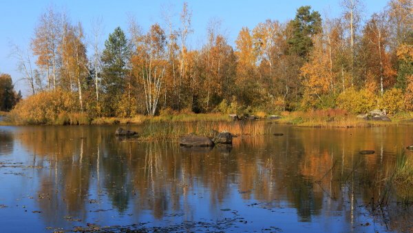 Народное голосование. ТОП-20 фотографий за 06.10.2021&nbsp;г.