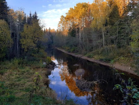 Народное голосование. ТОП-20 фотографий за 08.10.2021&nbsp;г.