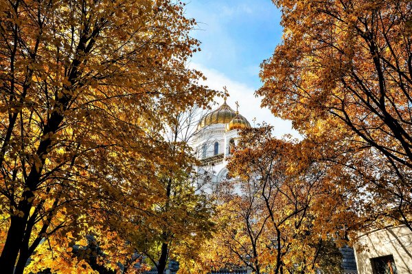 Народное голосование. ТОП-20 фотографий за 21.10.2021 г.