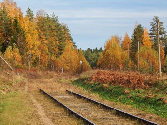 Народное голосование. ТОП-20 фотографий за 05.11.2021&nbsp;г.