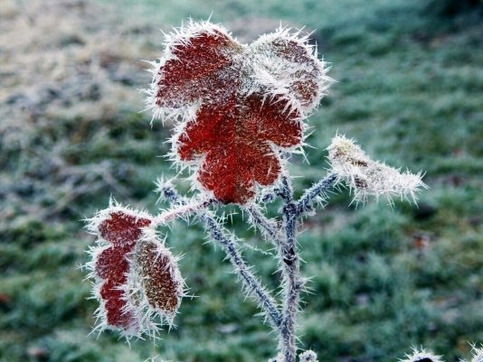 Народное голосование. ТОП-20 фотографий за 09.11.2021&nbsp;г.