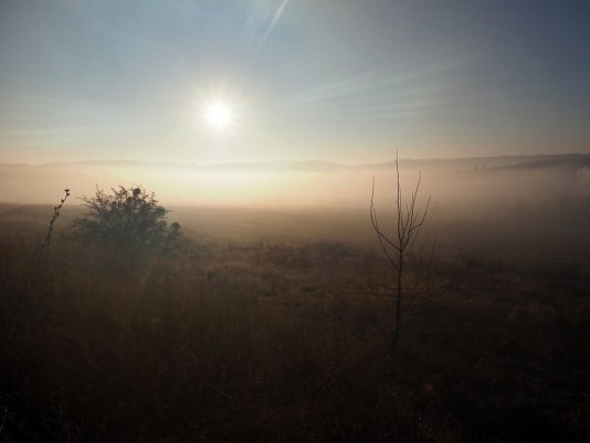 Народное голосование. ТОП-20 фотографий за 11.11.2021&nbsp;г.