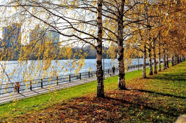 Народное голосование. ТОП-20 фотографий за 12.11.2021&nbsp;г.
