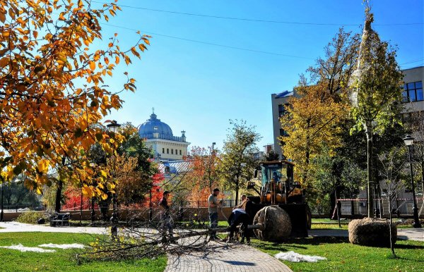 Народное голосование. ТОП-20 фотографий за 20.11.2021&nbsp;г.