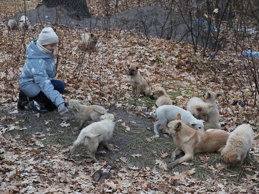 Народное голосование. ТОП-20 фотографий за 25.11.2021&nbsp;г.