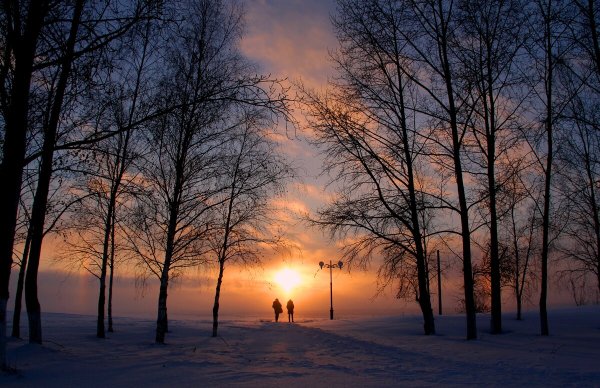 Народное голосование. ТОП-20 фотографий за 29.11.2021&nbsp;г.