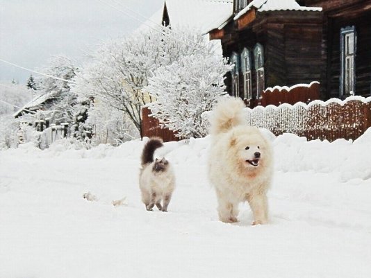 Народное голосование. ТОП-20 фотографий за 01.12.2021&nbsp;г.
