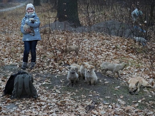 Народное голосование. ТОП-20 фотографий за 02.12.2021&nbsp;г.