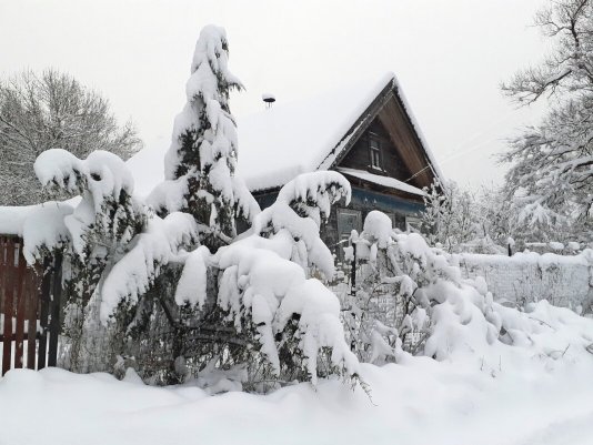 Народное голосование. ТОП-20 фотографий за 07.12.2021&nbsp;г.