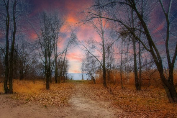 Народное голосование. ТОП-20 фотографий за 08.12.2021&nbsp;г.
