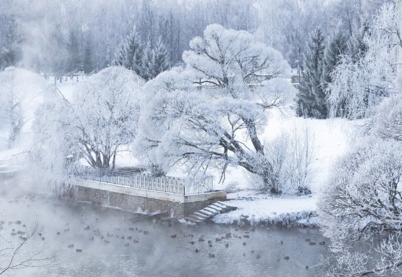 Народное голосование. ТОП-20 фотографий за 10.12.2021&nbsp;г.