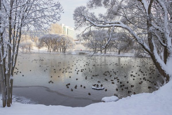 Народное голосование. ТОП-20 фотографий за 18.12.2021&nbsp;г.