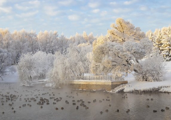 Народное голосование. ТОП-20 фотографий за 26.12.2021&nbsp;г.