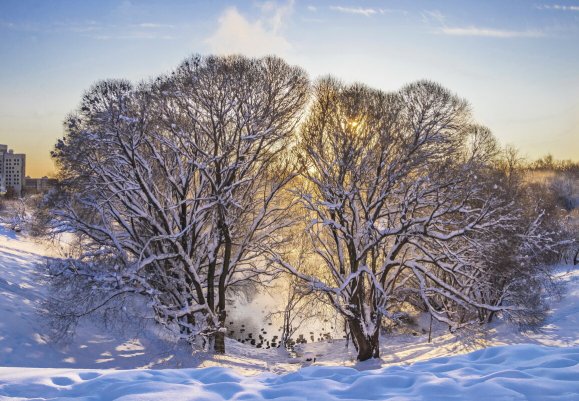 Народное голосование. ТОП-20 фотографий за 28.12.2021&nbsp;г.