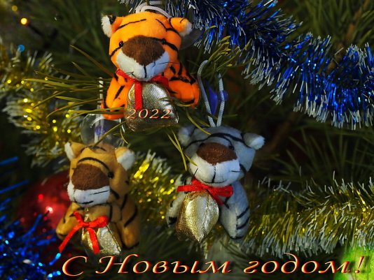 Народное голосование. ТОП-20 фотографий за 01.01.2022&nbsp;г.