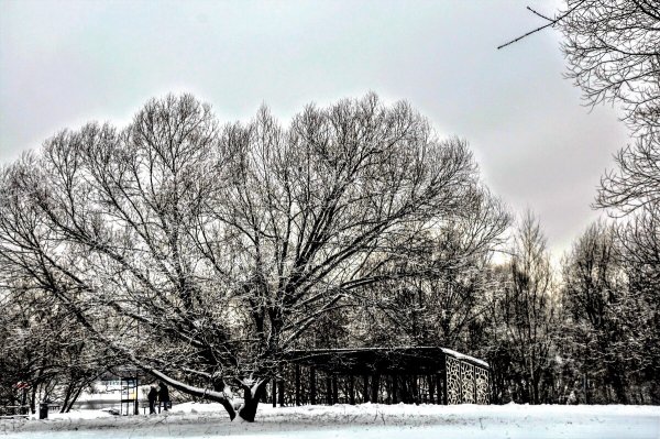 Народное голосование. ТОП-20 фотографий за 02.01.2022&nbsp;г.