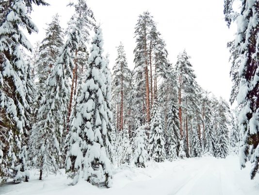 Народное голосование. ТОП-20 фотографий за 13.01.2022&nbsp;г.
