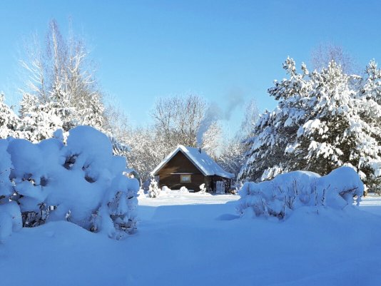 Народное голосование. ТОП-20 фотографий за 15.01.2022&nbsp;г.