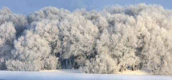 Народное голосование. ТОП-20 фотографий за 17.01.2022&nbsp;г.