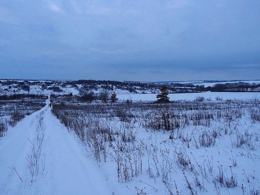 Народное голосование. ТОП-20 фотографий за 23.01.2022&nbsp;г.