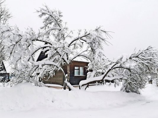 Народное голосование. ТОП-20 фотографий за 08.02.2022&nbsp;г.