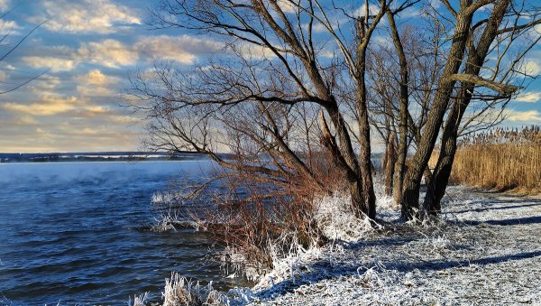 Народное голосование. ТОП-20 фотографий за 09.02.2022&nbsp;г.