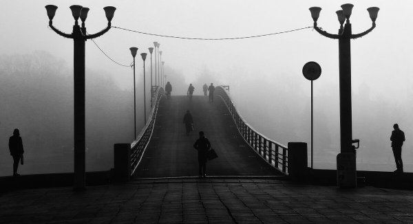 Народное голосование. ТОП-20 фотографий за 10.02.2022&nbsp;г.
