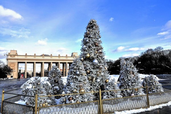 Народное голосование. ТОП-20 фотографий за 20.02.2022&nbsp;г.