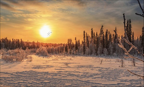 Народное голосование. ТОП-20 фотографий за 23.02.2022&nbsp;г.