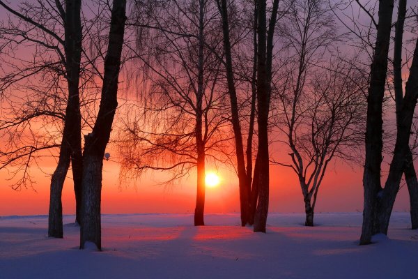 Народное голосование. ТОП-20 фотографий за 01.03.2022&nbsp;г.