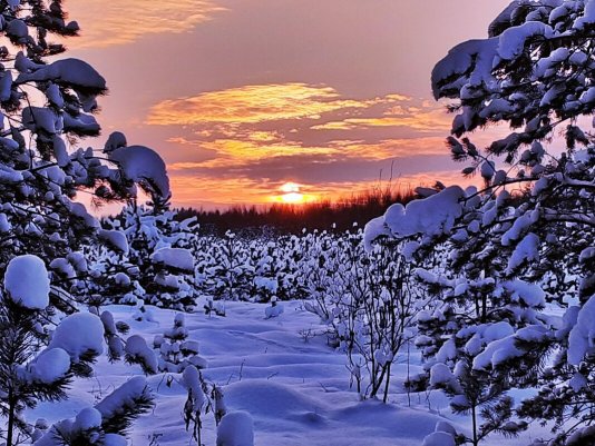 Народное голосование. ТОП-20 фотографий за 05.03.2022&nbsp;г.