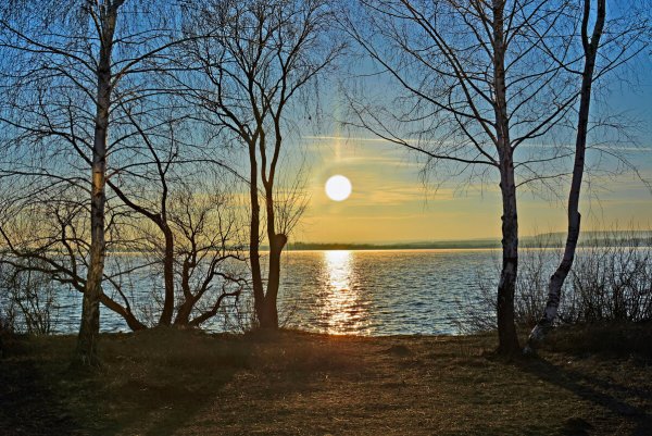 Народное голосование. ТОП-20 фотографий за 31.03.2022&nbsp;г.