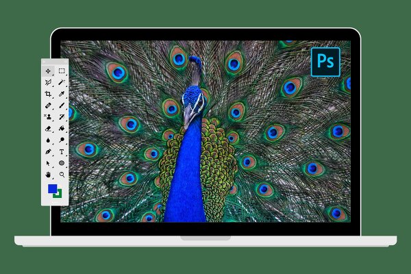 23 апреля. Adobe Photoshop. Однодневный интенсив
