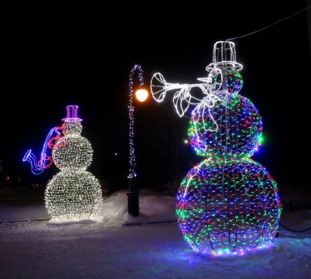 Народное голосование. ТОП-20 фотографий за 31.12.2023 г.