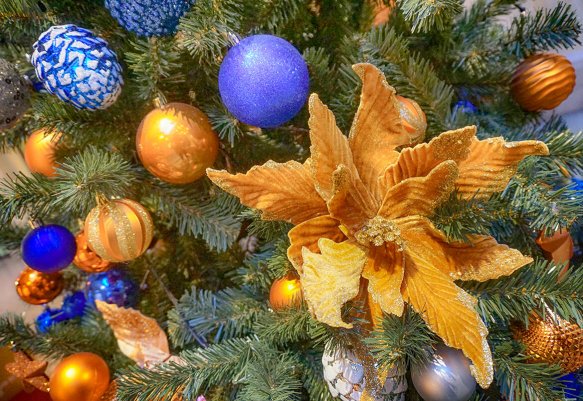 Народное голосование. ТОП-20 фотографий за 01.01.2024 г.